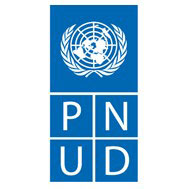 Pnud